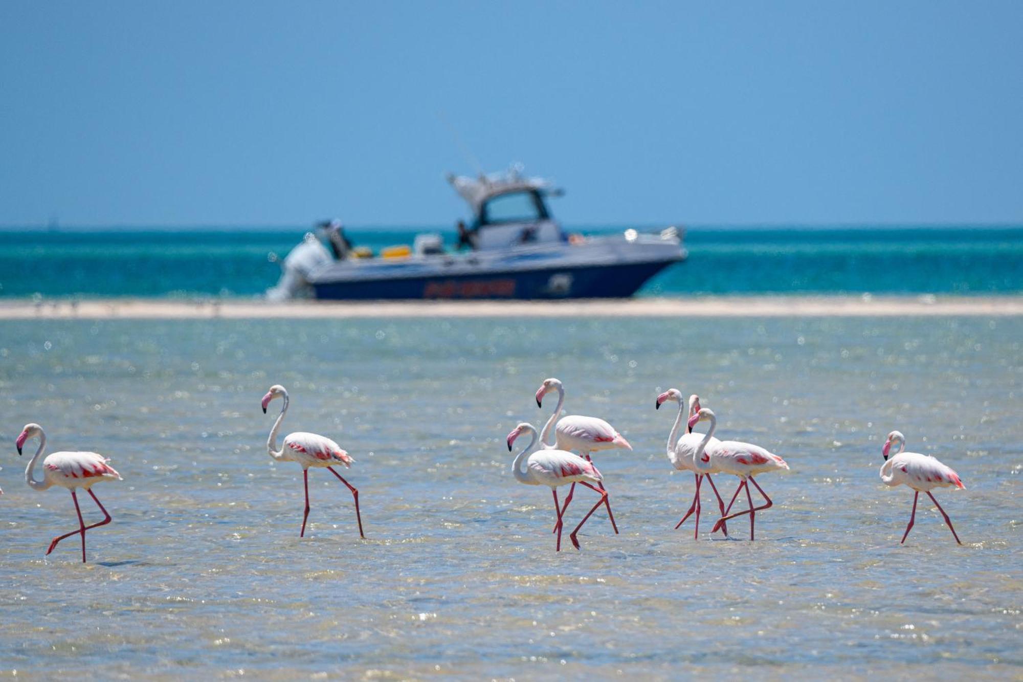 Ocean Pearl Beach Lodge Vilanculos Esterno foto