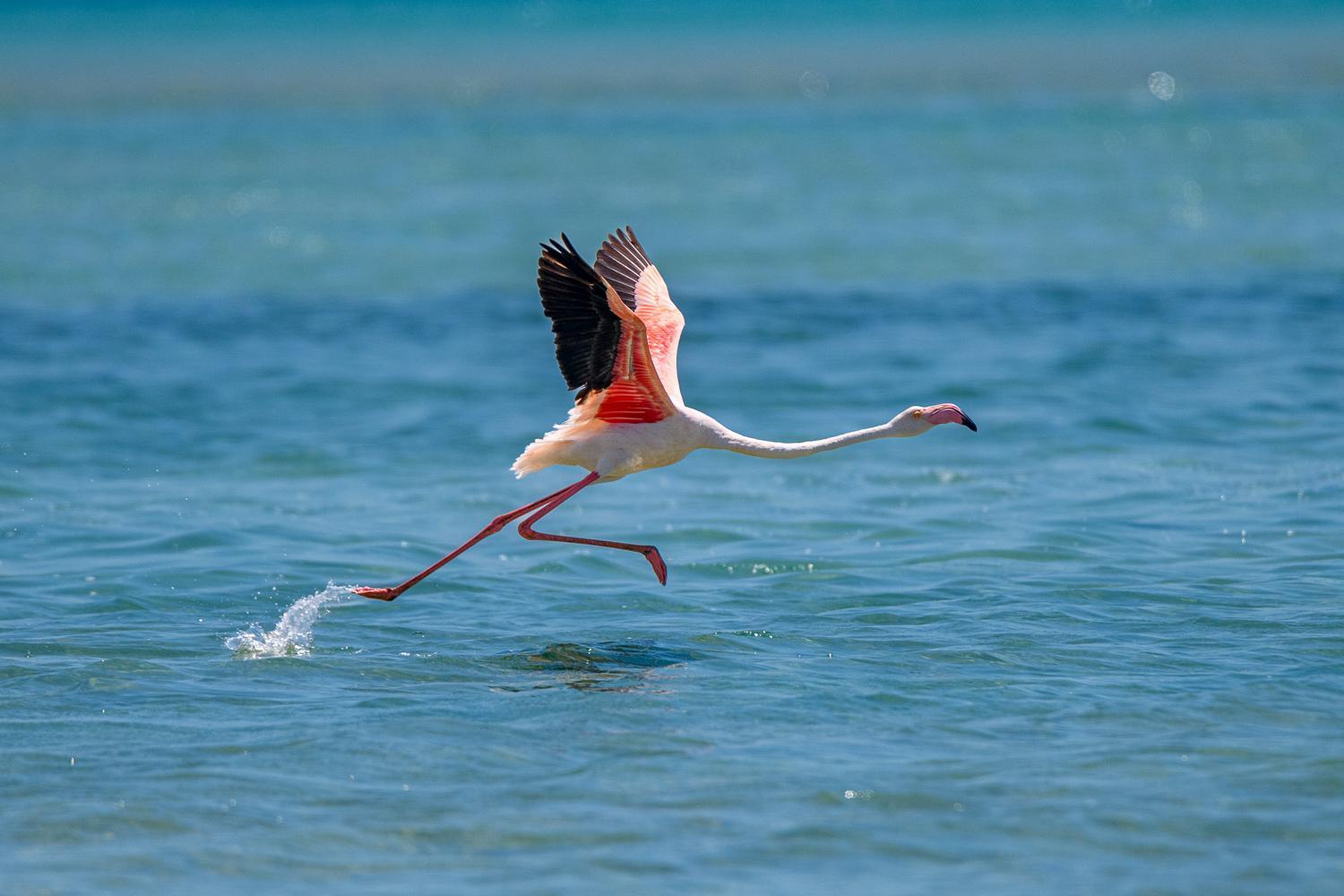 Ocean Pearl Beach Lodge Vilanculos Esterno foto